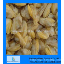 high quality frozen short necked clam seafood clam meat